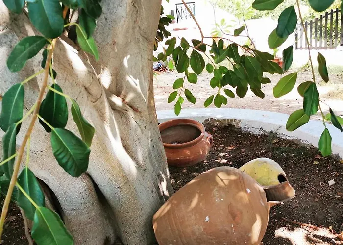 Irene בית נופש