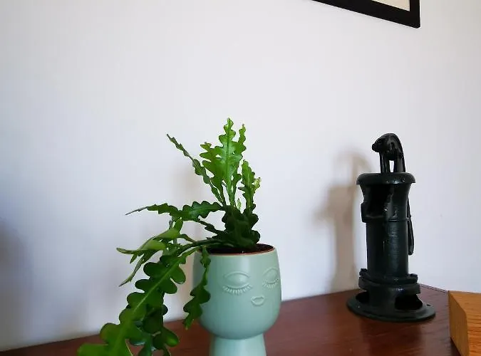 Irene העיירה קוס