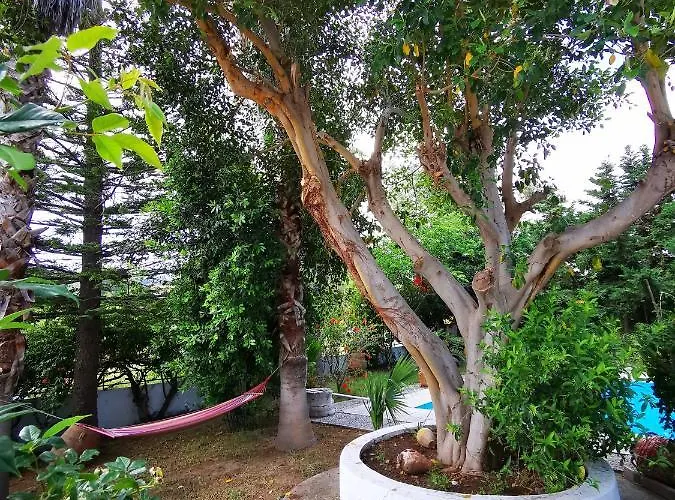 Irene בית נופש