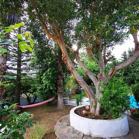 Irene Hébergement de vacances